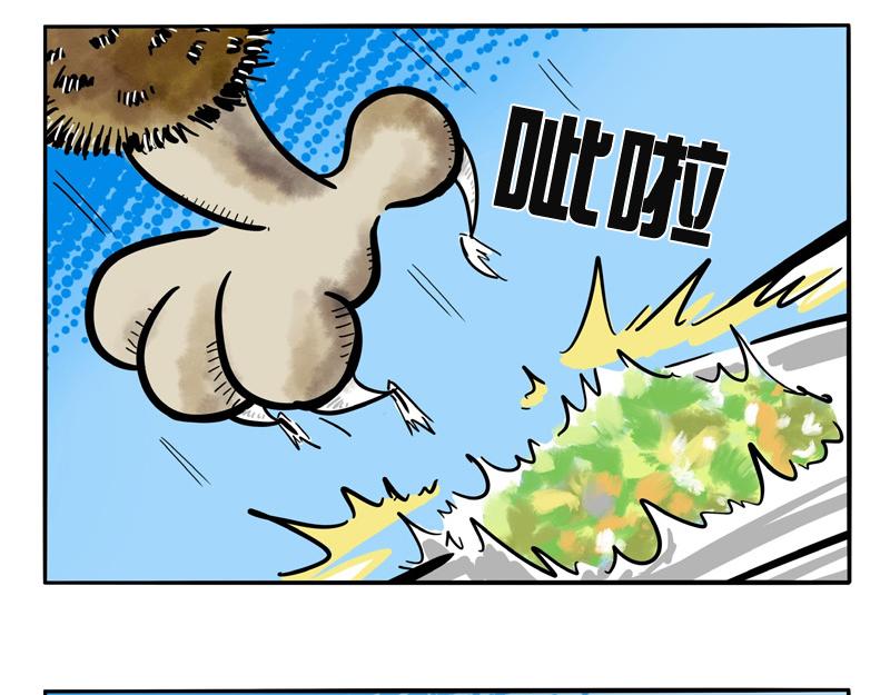 第10话 毛毛来袭-第10话