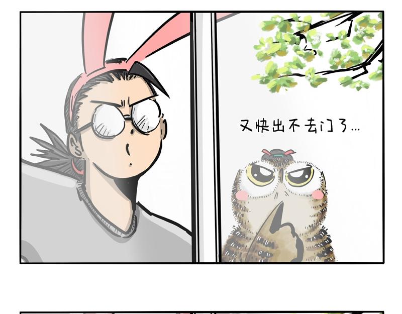 第10话 毛毛来袭-第10话