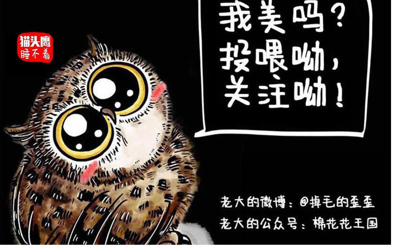 第14话 过端午节-第14话