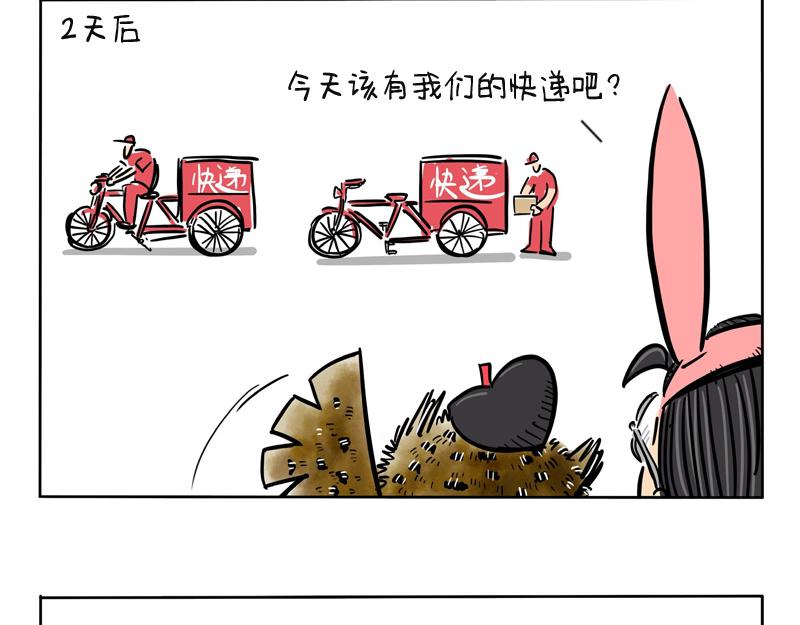 第16话 网购的节奏-第16话