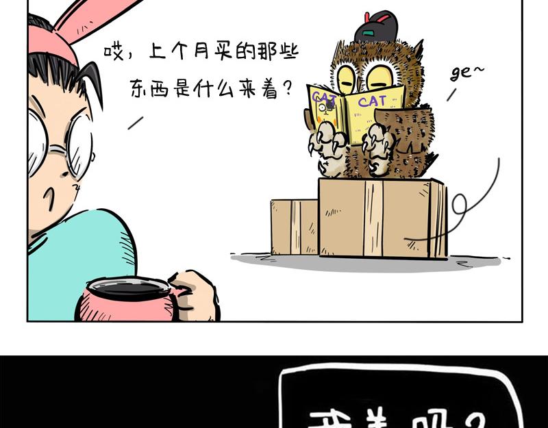 第16话 网购的节奏-第16话