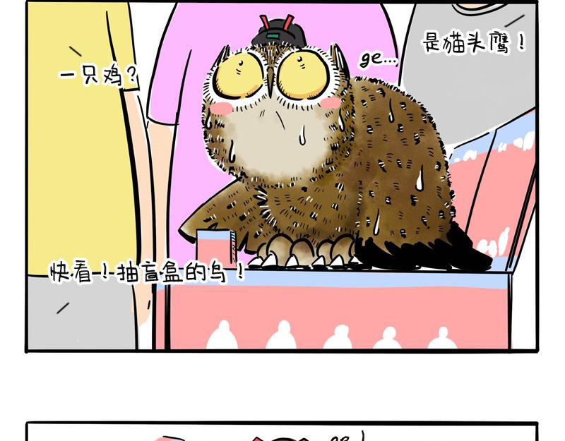第18话 歪大的抽盲盒技巧-第18话