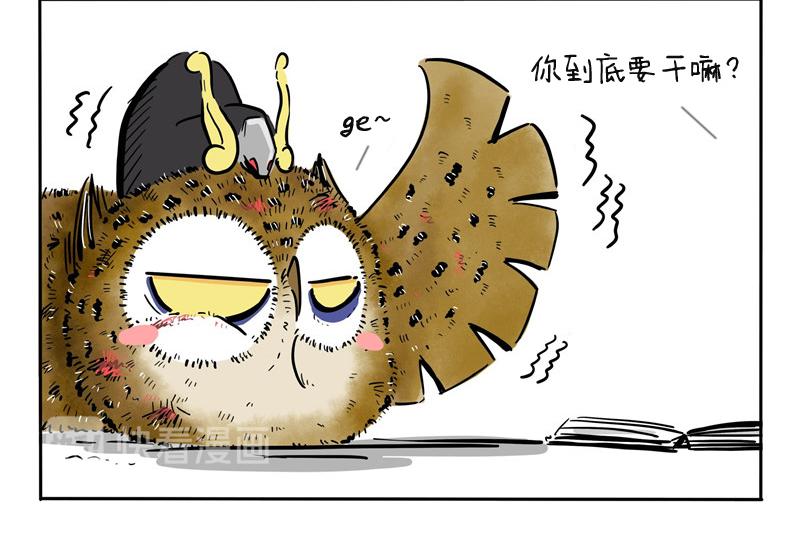 第22话 月底剩斗士-第22话