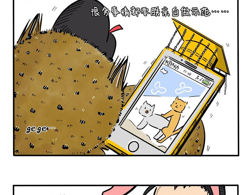 貓頭鷹睡不着 - 第26話 速傳太醫 - 1