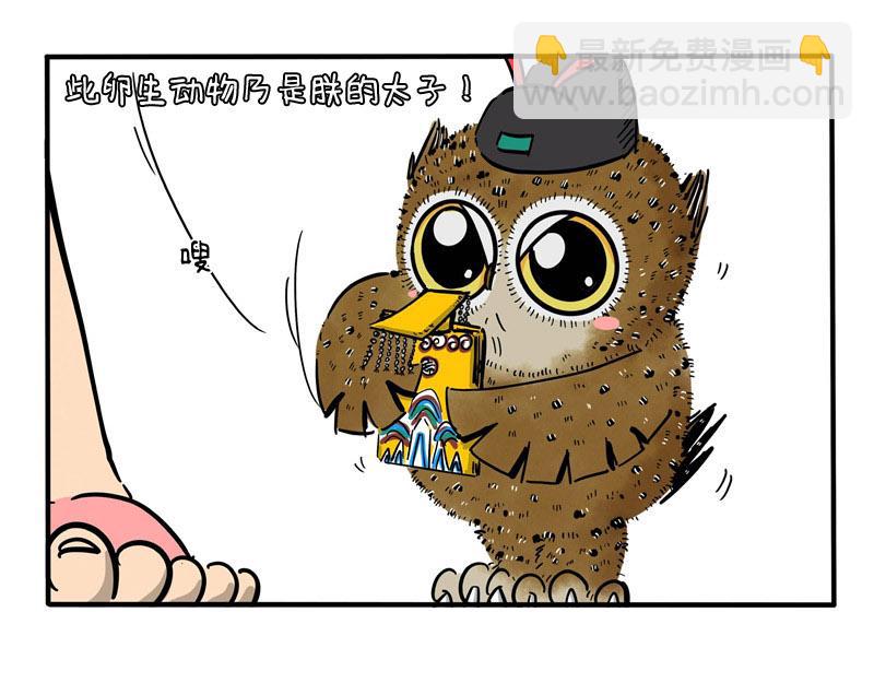 貓頭鷹睡不着 - 第26話 速傳太醫 - 1