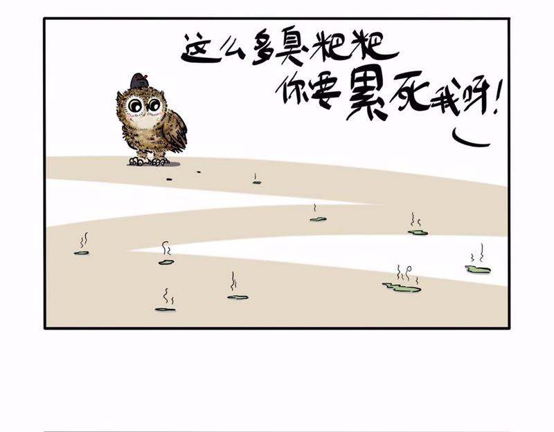 屎的问题-第4话