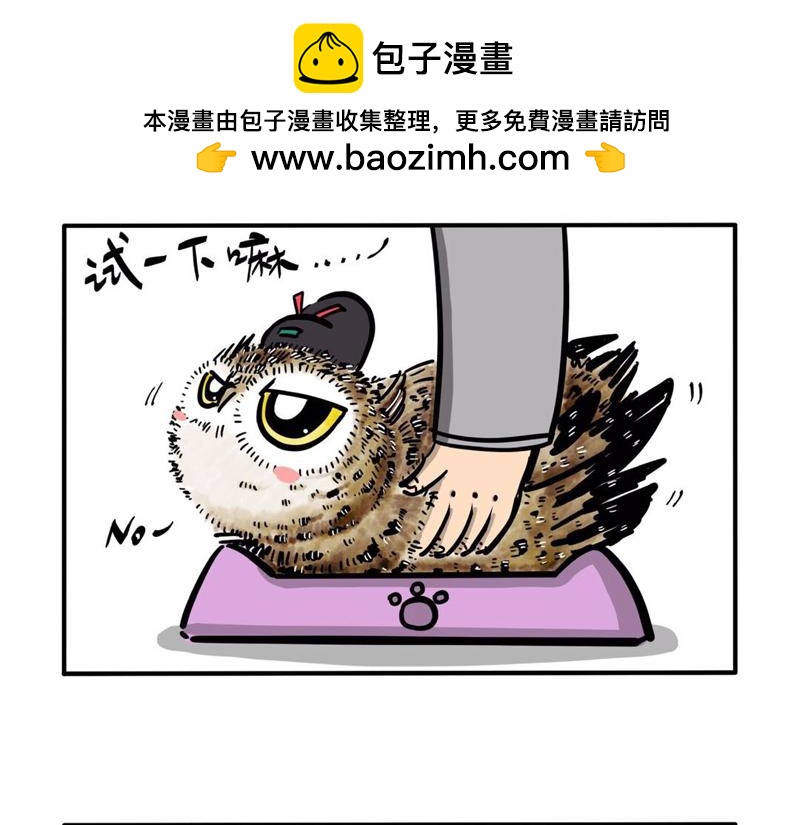 屎的问题-第4话