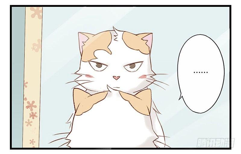 第十六话 我是猫了？-第16话