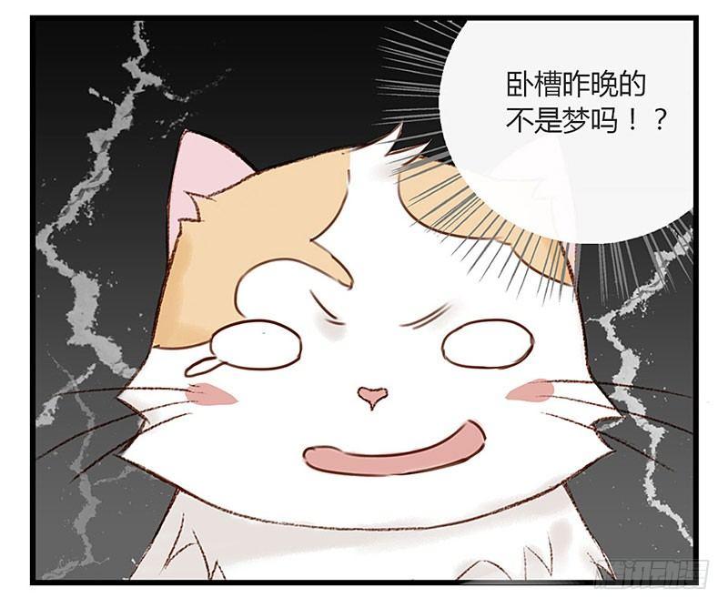 第十六话 我是猫了？-第16话