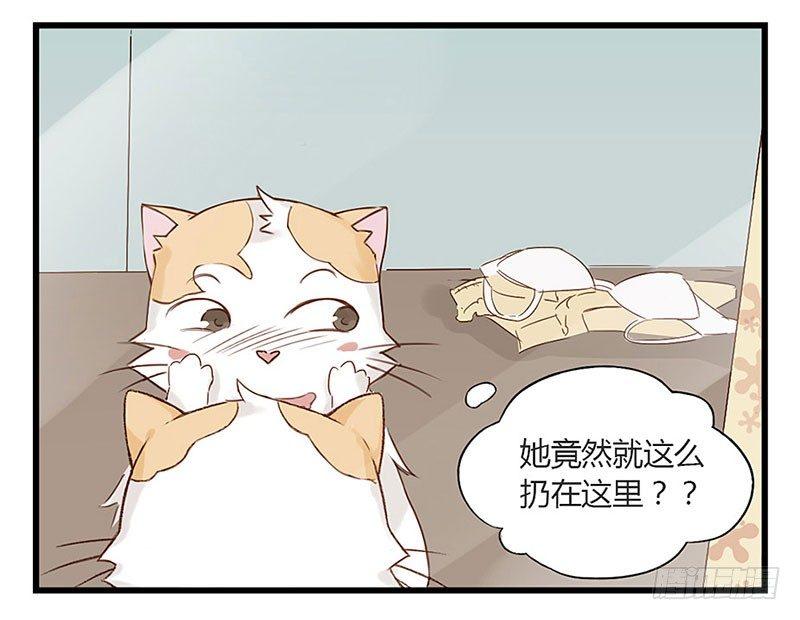 第十六话 我是猫了？-第16话