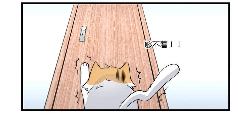 第二十二话 争宠风波-第22话