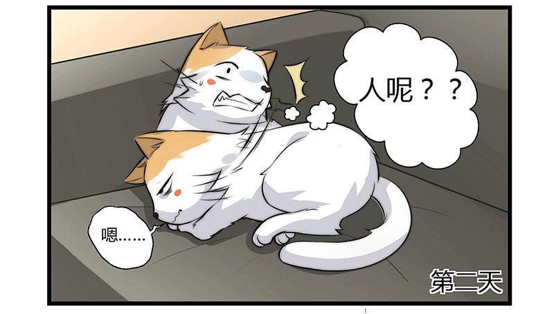 第二十二话 争宠风波-第22话