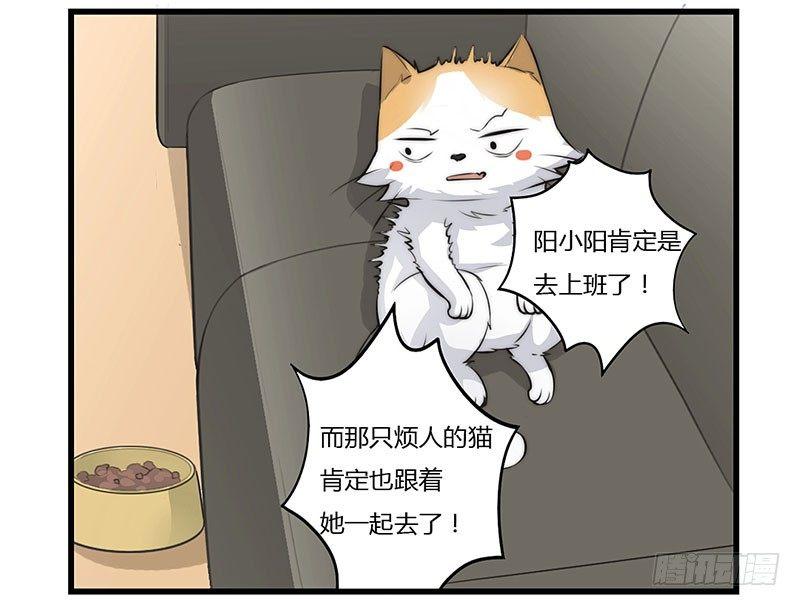 第二十二话 争宠风波-第22话