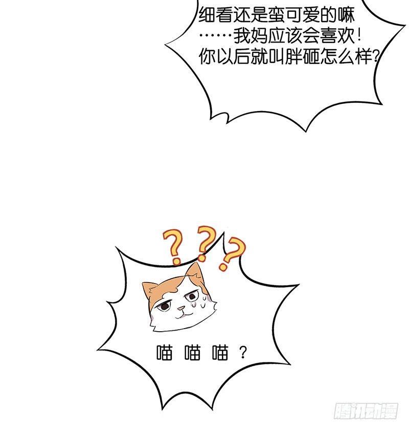 第二十八话 新主人-第28话