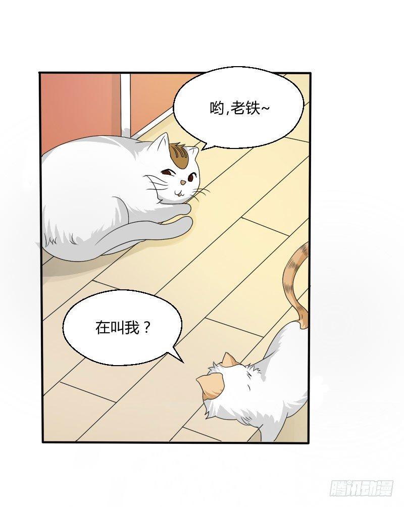 第四十二话 杜仲出走-第42话