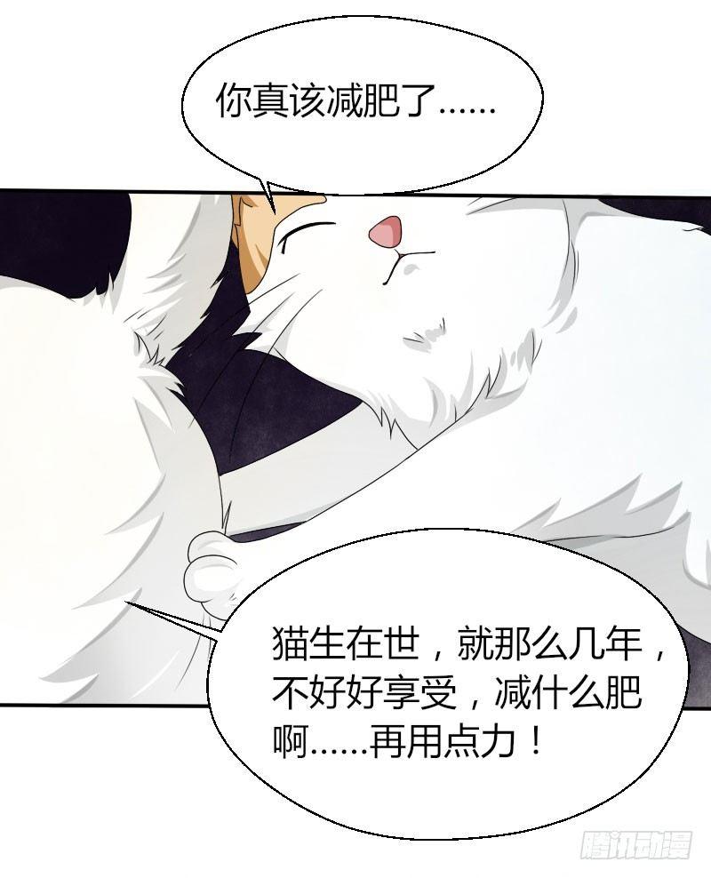 第四十二话 杜仲出走-第42话