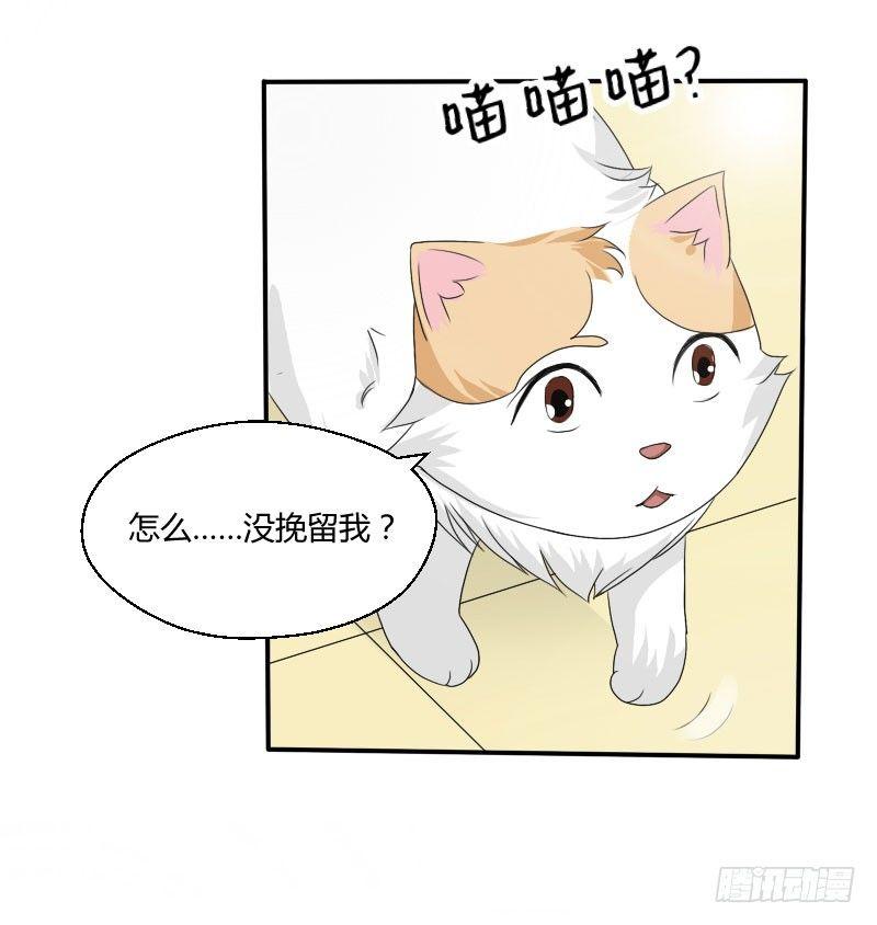 第四十二话 杜仲出走-第42话