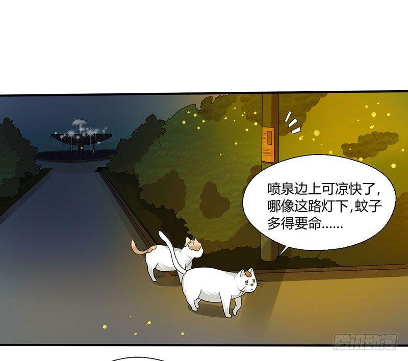 第四十四话 她来了！-第44话