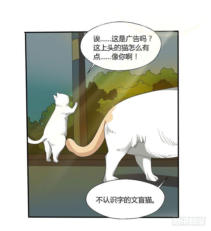 第四十四话 她来了！-第44话