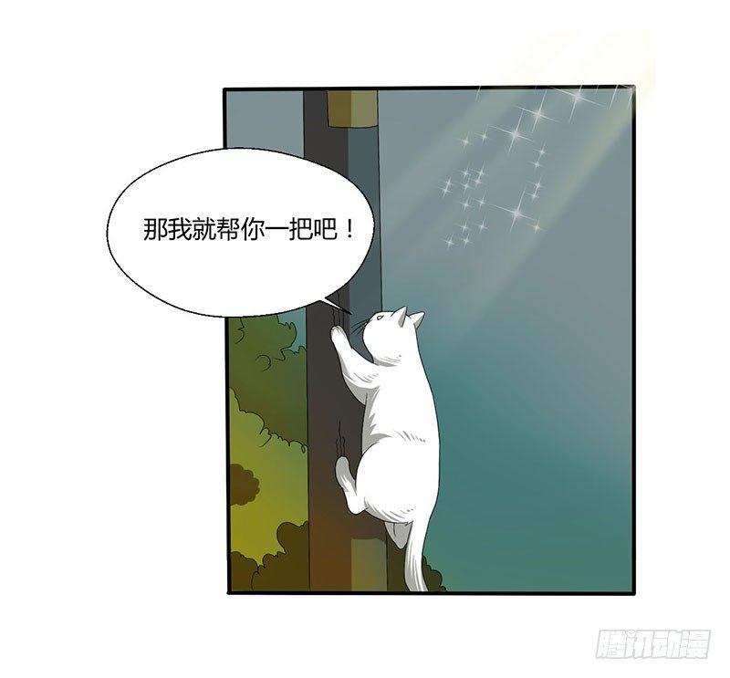 第四十四话 她来了！-第44话