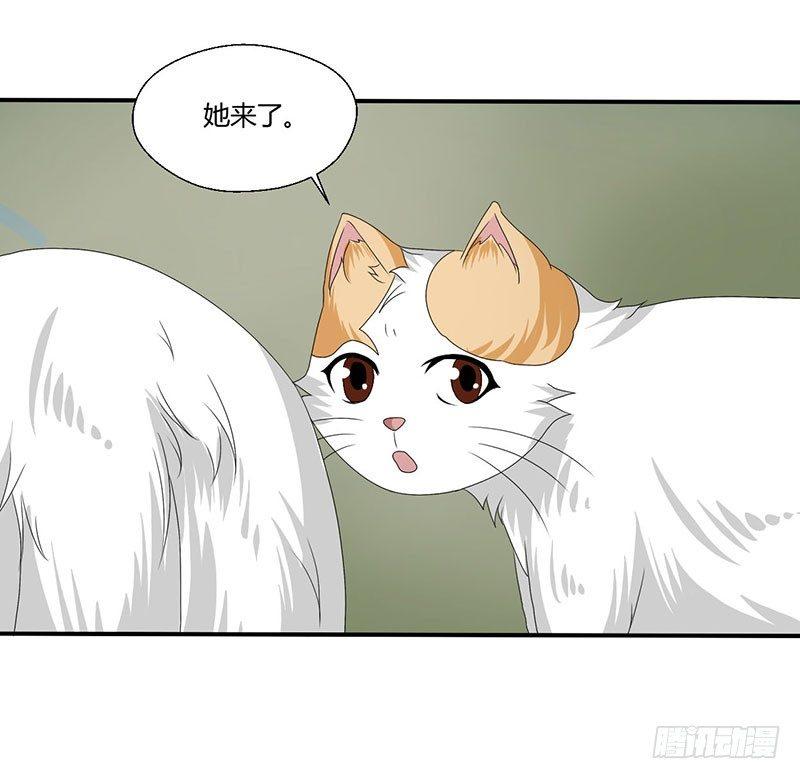 第四十四话 她来了！-第44话