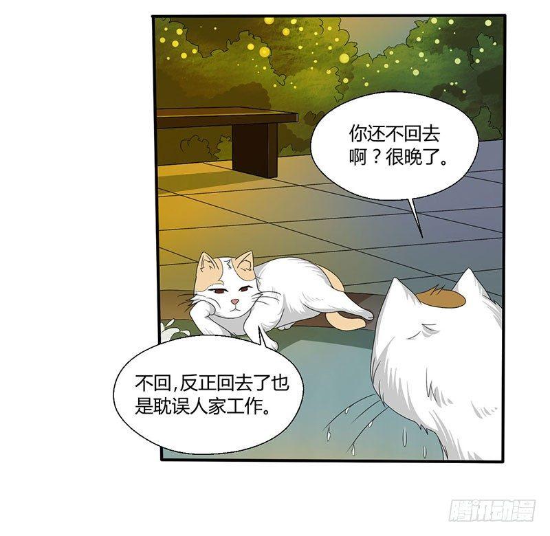 第四十四话 她来了！-第44话