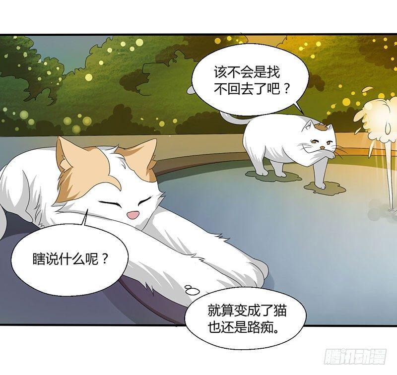 第四十四话 她来了！-第44话