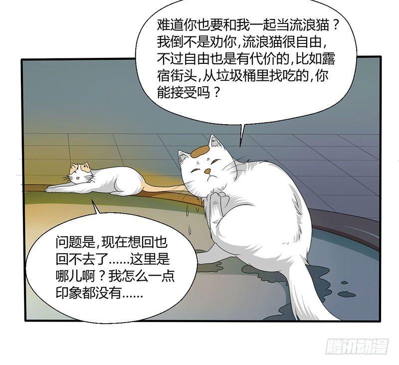 第四十四话 她来了！-第44话