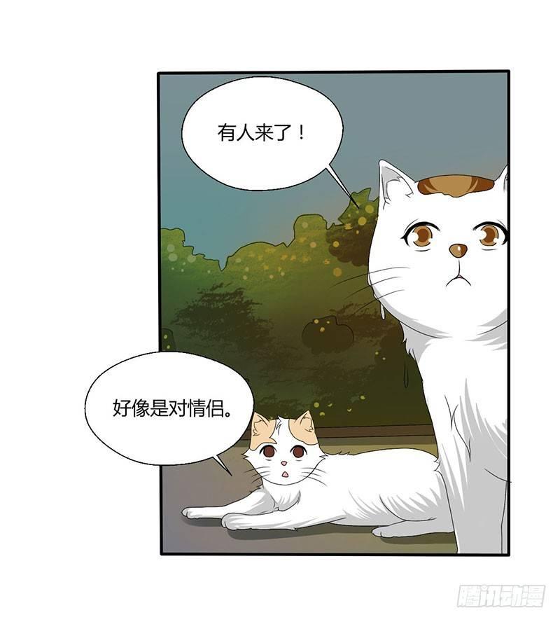 第四十四话 她来了！-第44话