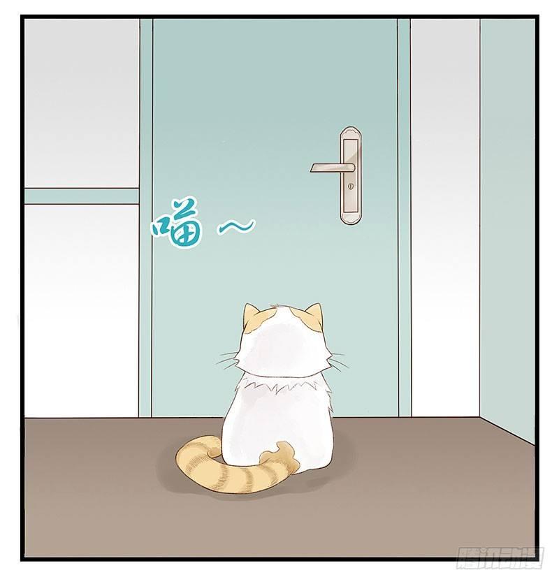 第八话 帮不完的忙-第8话