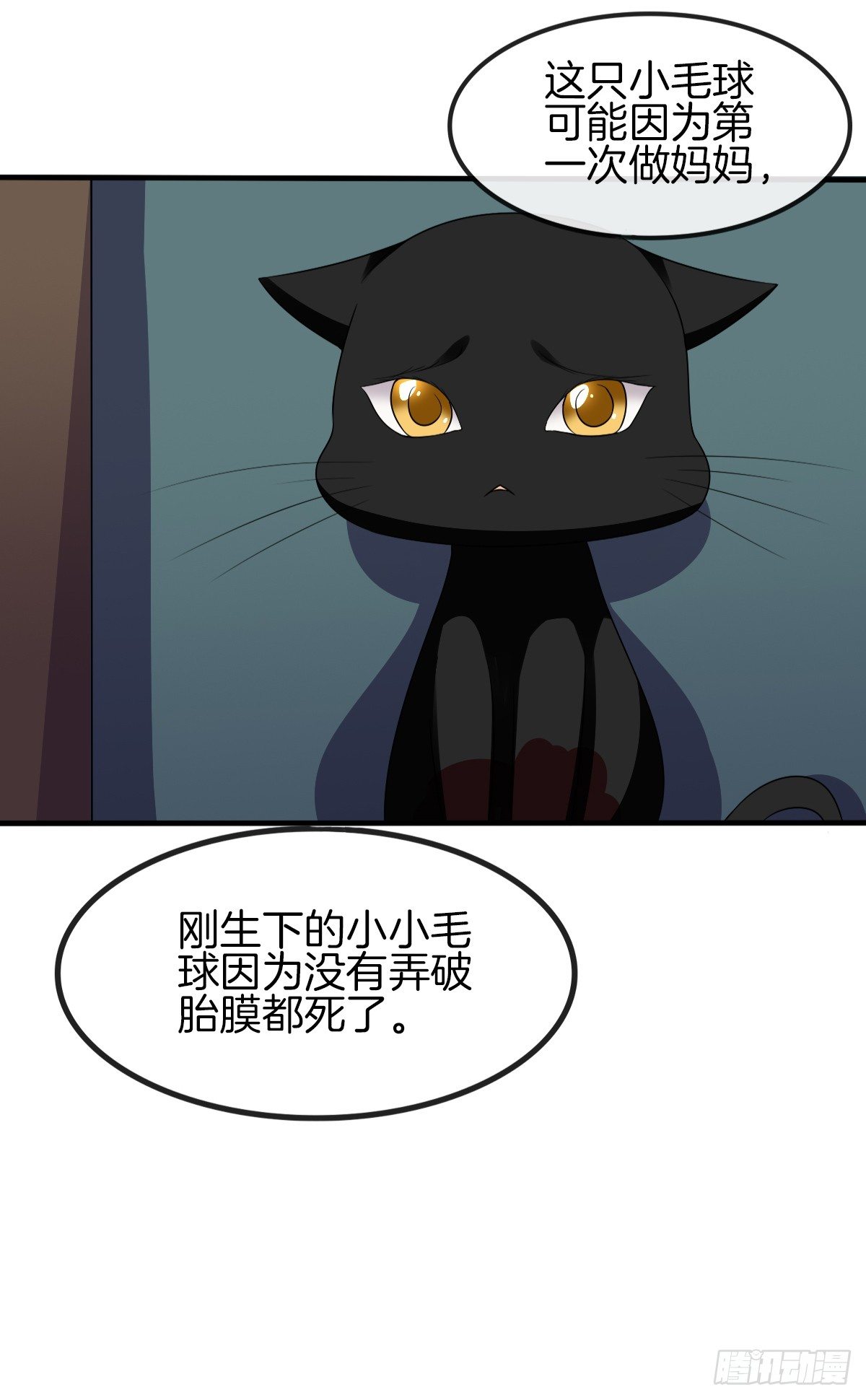 是你逼我的(1/2)-第12话