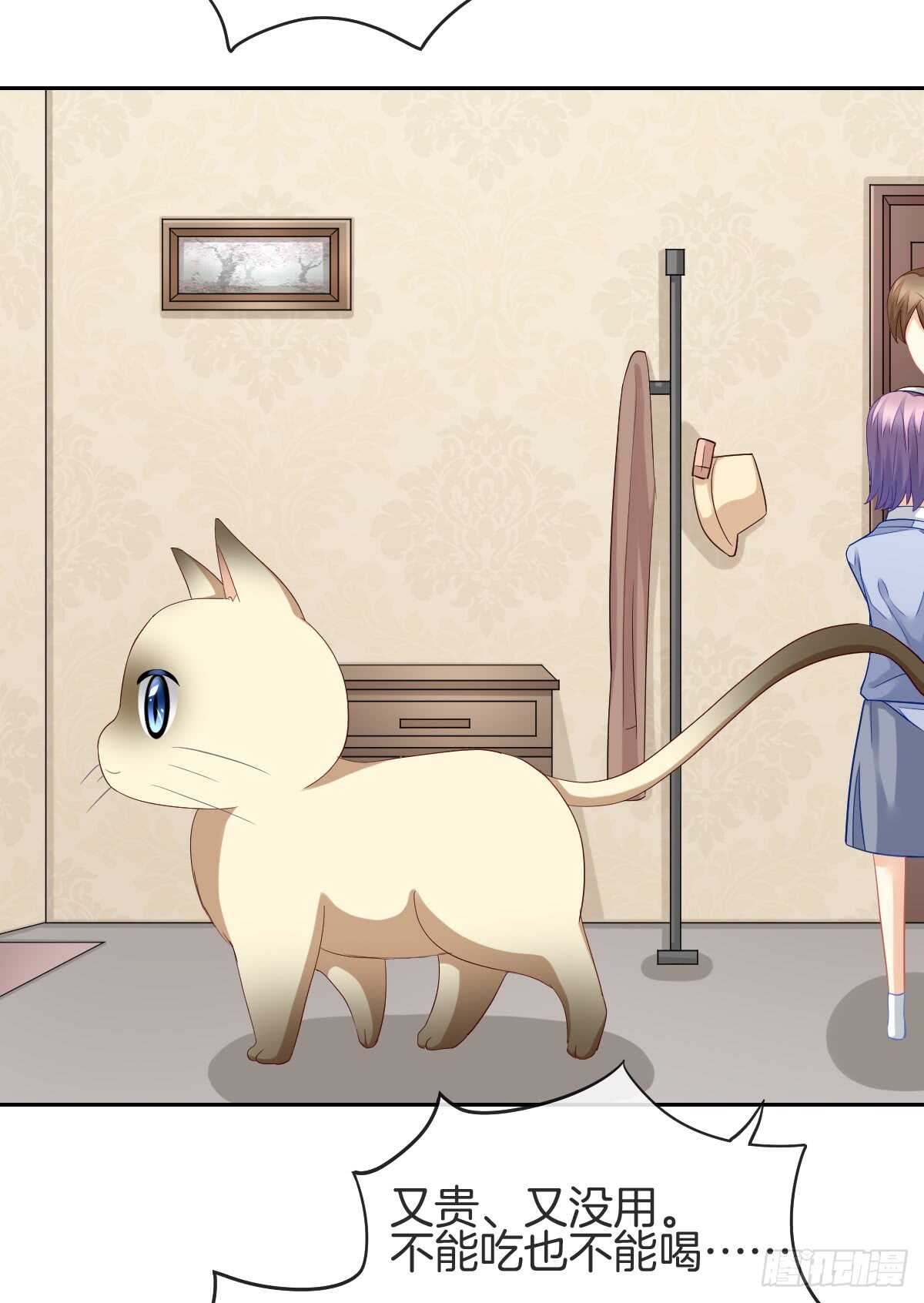 情投意合(1/2)-第48话