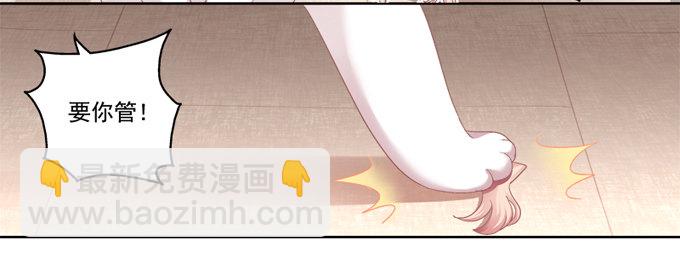 你是我的猫-第2话