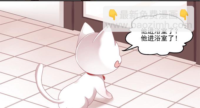 你是我的猫-第2话