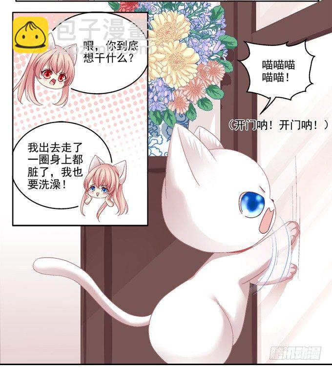 猫妖的诱惑 - 你是我的猫 - 4