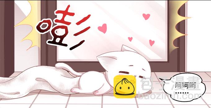 你是我的猫-第2话