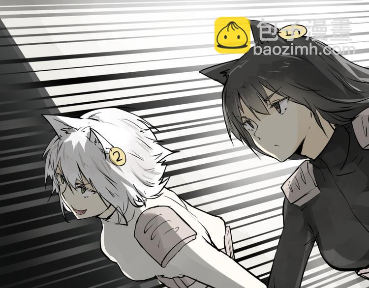 第15话 人形喵的混战-第14话