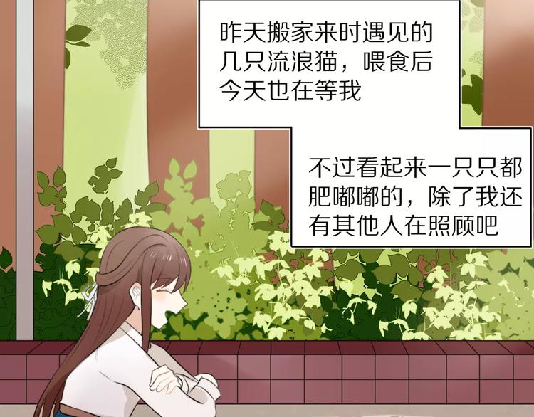 第1话 向流星许愿结果穿越异世界！(1/4)-第2话