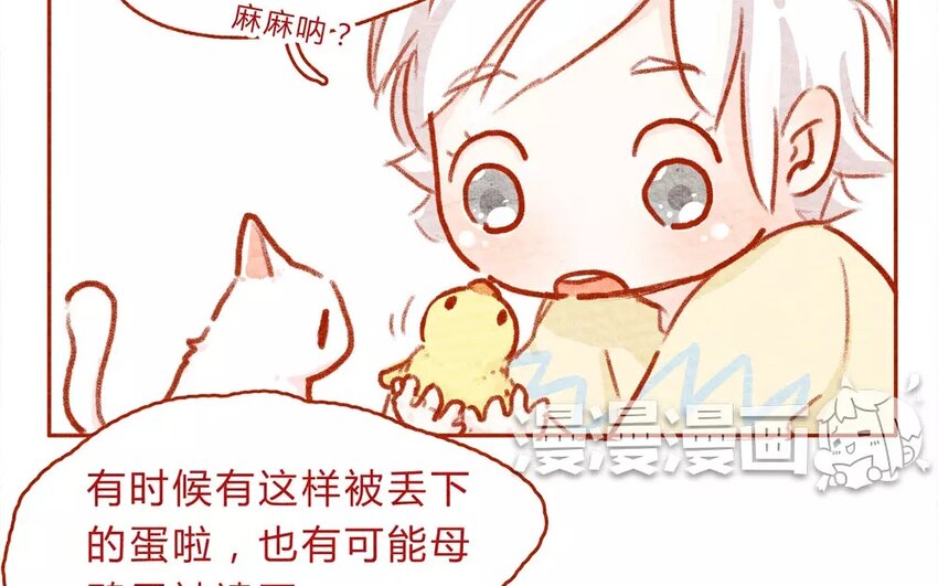 14 第14话  蛋-第14话