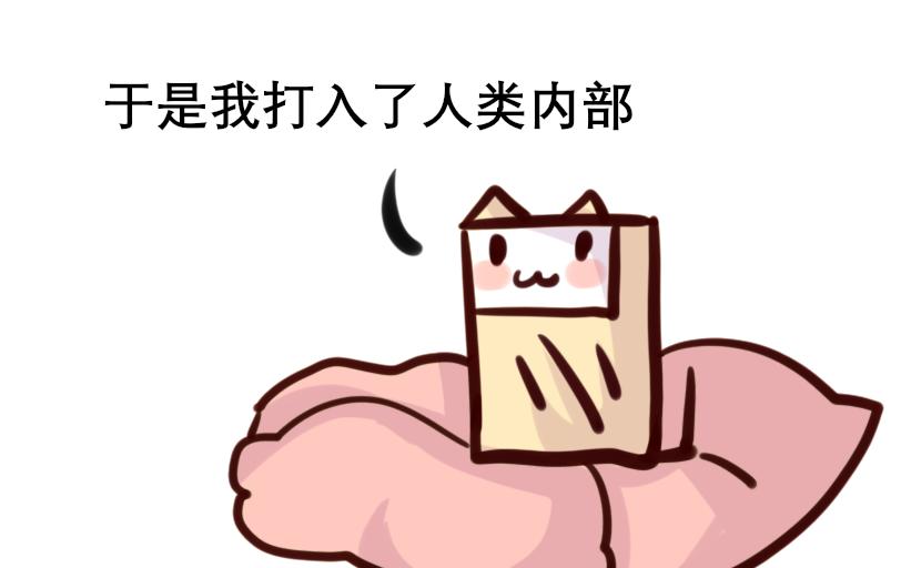 Maoza 蠢萌生活 - Maoza新篇章 - 2