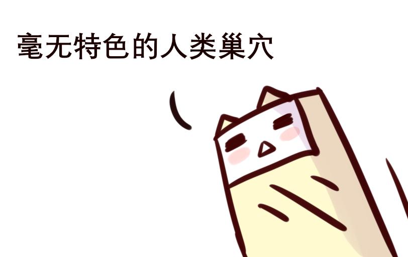 Maoza 蠢萌生活 - Maoza新篇章 - 4