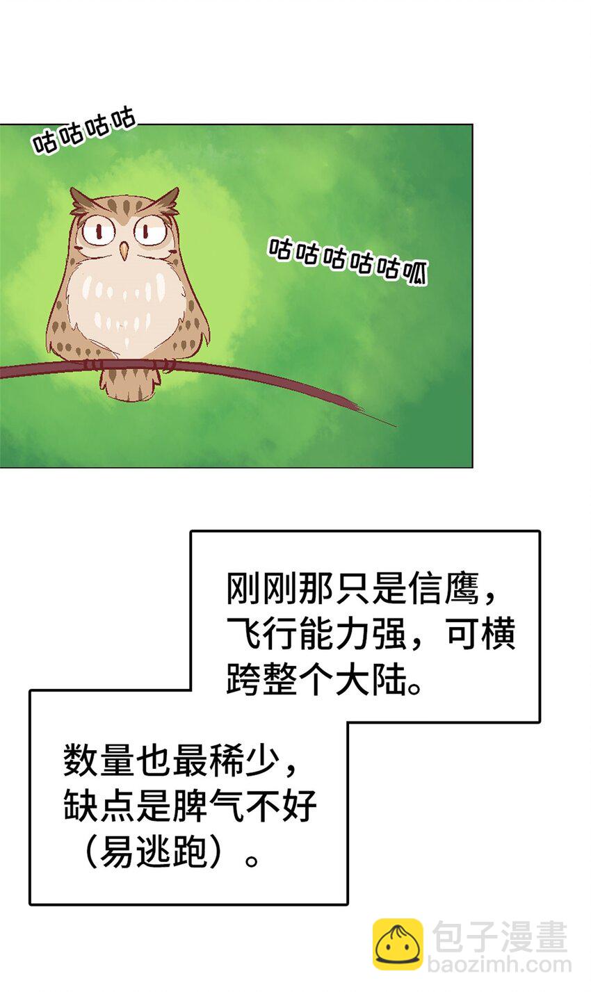 14 新手入城-第14话