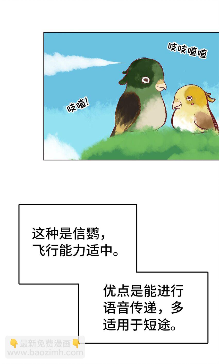 14 新手入城-第14话