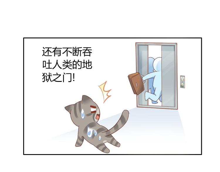 第2话  守护者花花(1/2)-第2话