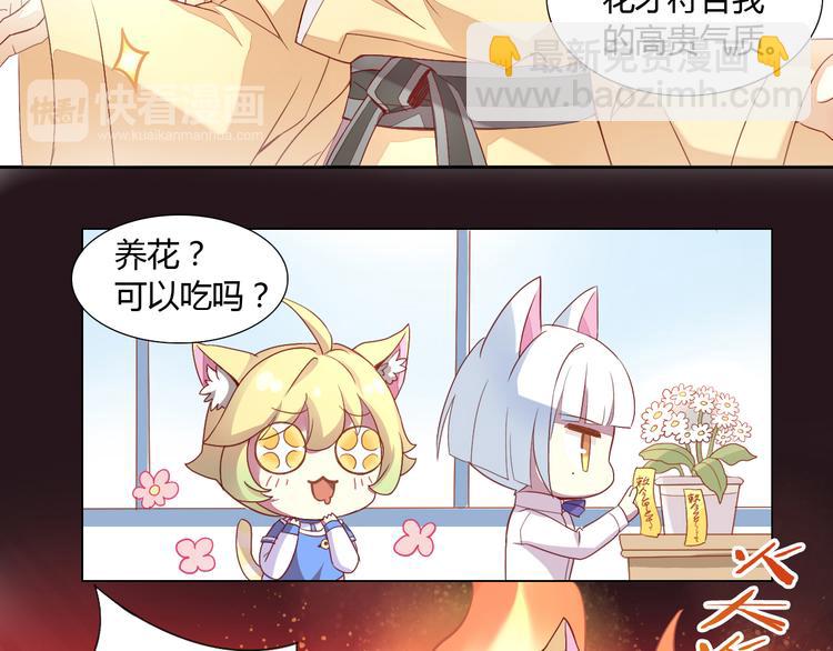 第2话  守护者花花(1/2)-第2话