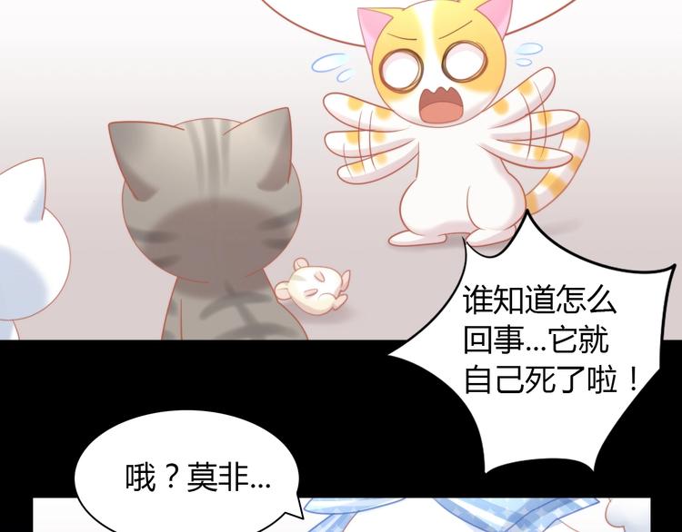 貓爪之下 - 第107話  倉鼠式暈厥(2/2) - 5