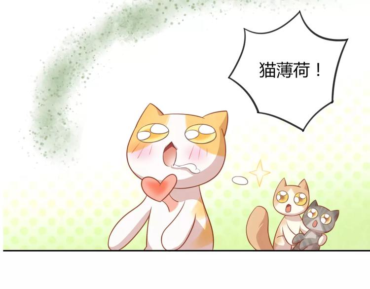 貓爪之下 - 第12話  紙箱爭奪戰(2/2) - 5