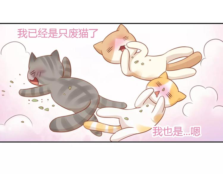 貓爪之下 - 第12話  紙箱爭奪戰(2/2) - 6