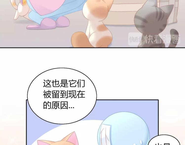 貓爪之下 - 第113話 斷舍離(2/2) - 1