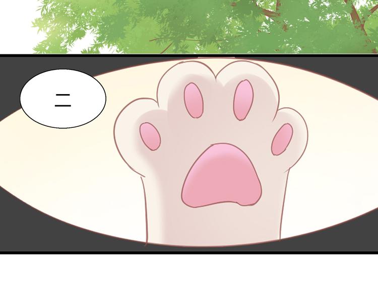 貓爪之下 - 第141話 逆轉游戲 （四）(2/2) - 2